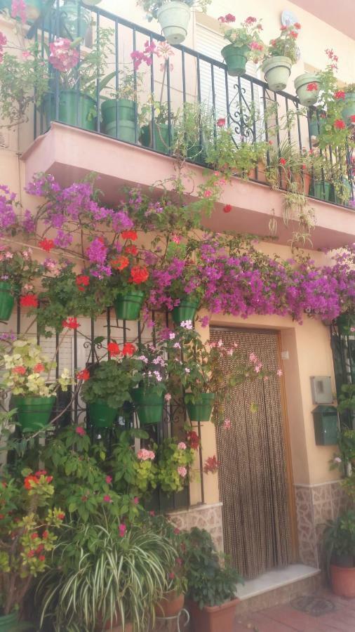 Puerto Deportivo Estepona Exterior foto